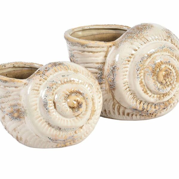 Piasek pustyni Osłonka muszla B