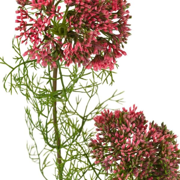 Koper różowy_ALURO