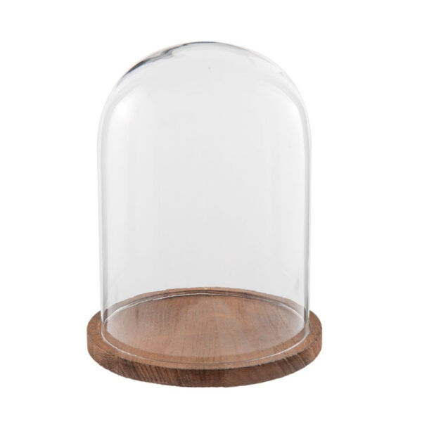 6GL2166 Szklany klosz Clayre