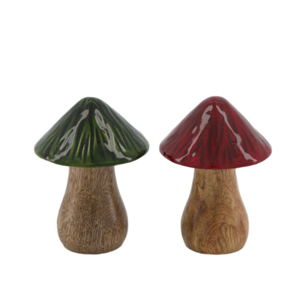 Grzybek drewno czerwień