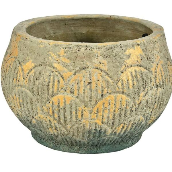 Prado Osłonka pękata 1B