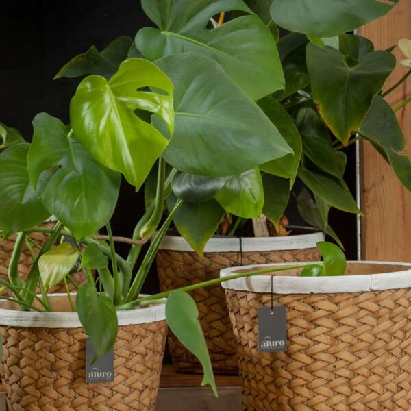 Osłonka ceramiczna FUSSA_Aluro XL