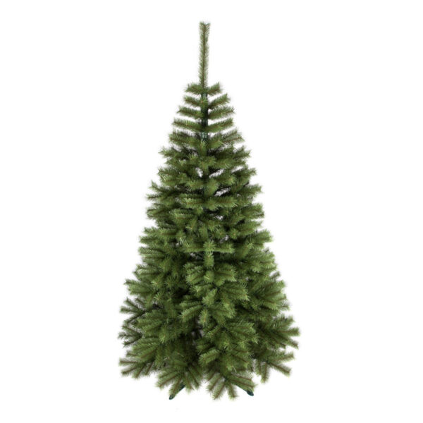 Świerk Dziki PVC 2,5m