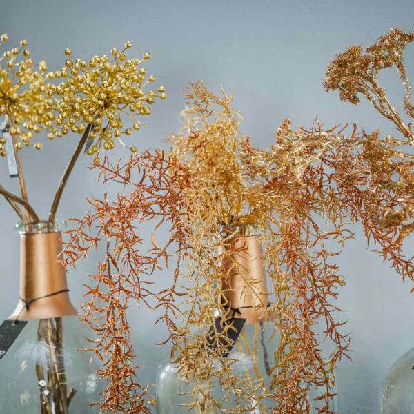 Roślina szt.- Kwiat Hedery_Aluro