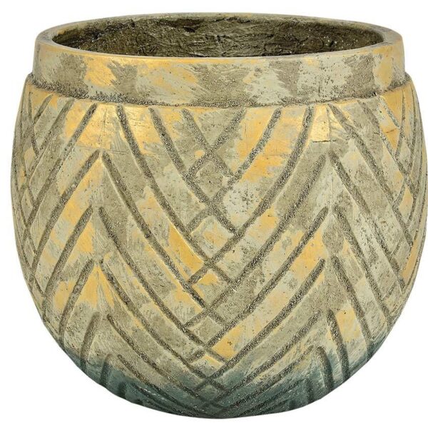 Prado Osłonka pękata A