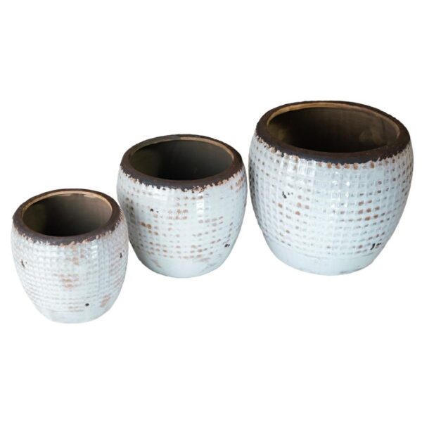 Piasek pustyni Osłonka pękata 2A