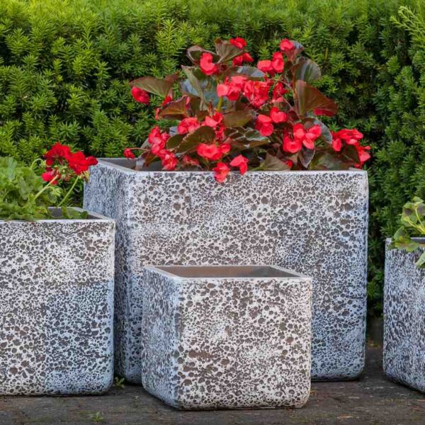 Donica HIMLA - M_ALURO