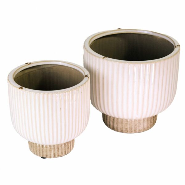 Roma Osłonka prążki na nodze A