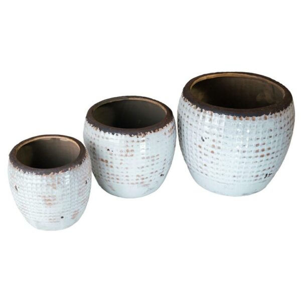 Piasek pustyni Osłonka pękata 2B