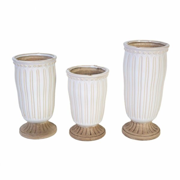 Roma Puchar smukły A