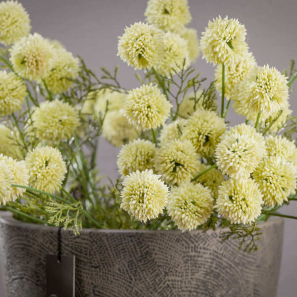 Gałąź łopianu_ALURO