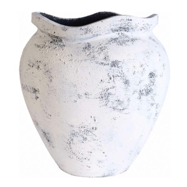 Albero white Osłonka pękata B