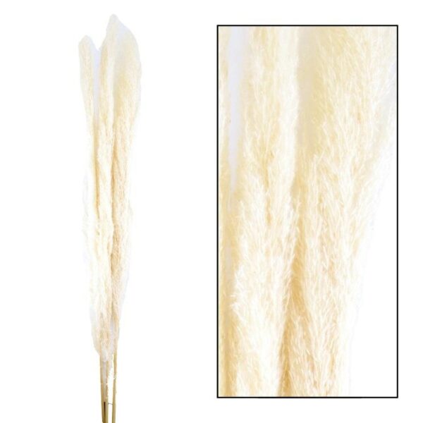 Susz Pampas Jaxx jasna kpl. 3 szt