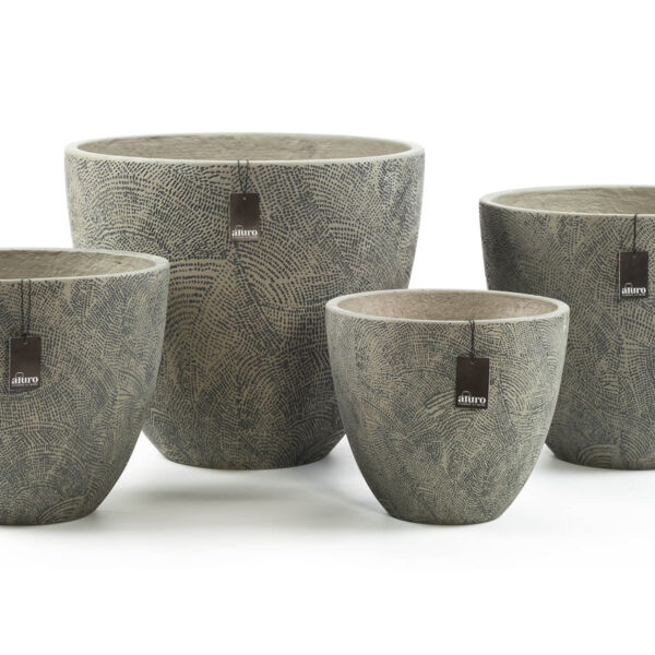 Donica ASTAL - M_ALURO