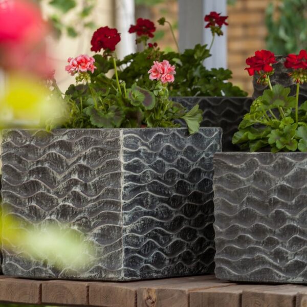 Donica NEIRA - S_ALURO