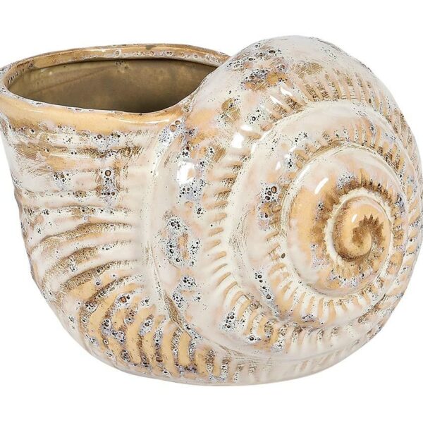 Lill Osłonka muszla